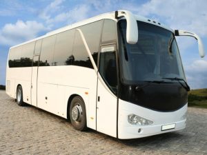 Coachbus (15)